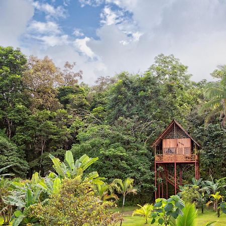 فيلا Palmeraفي Bio Thermales Hot Springs المظهر الخارجي الصورة