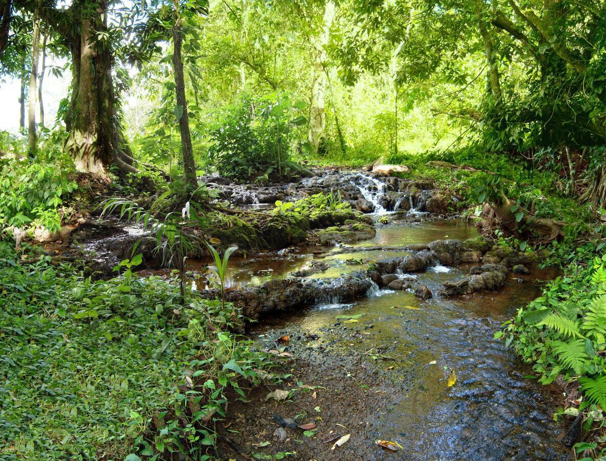 فيلا Palmeraفي Bio Thermales Hot Springs المظهر الخارجي الصورة