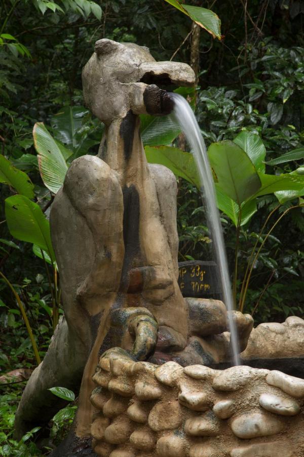 فيلا Palmeraفي Bio Thermales Hot Springs المظهر الخارجي الصورة